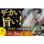 牡蠣 生牡蠣 若狭湾 生食用 天然岩牡蠣 大3個