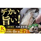ふるさと納税 牡蠣 生牡蠣 福井県 小浜市  先行予約 ／ 2026年6月下旬より順次発送 若狭湾 生食用 天然岩牡蠣 大6個（軍手、牡蠣ナイフ付き） 小浜市 ／ 加福…