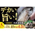 牡蠣 生牡蠣 若狭湾 生食用 天然岩牡蠣 大10個