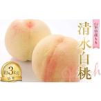 ふるさと納税 もも 山形県 南陽市 令和7年産先行予約 もも「清水白桃」 約3kg (8〜10玉 特秀) 《令和7年8月中旬〜発送》 『NOWAフルーツ』 モモ 果物 フルー…