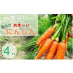 fu.... налог овощи вид морковь Kyoto (столичный округ) черепаха холм город морковь 4kg время ограничено природа культивирование. .. лист имеется морковь Kyoto (столичный округ) * черепаха холм производство .... органический ферма .. доставка { есть перевод sa...