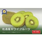 ふるさと納税 果物類 新潟県 佐渡市 佐渡産キウイフルーツ 秀 Lサイズ30玉 JA佐渡 | 新潟県産キウイ 新潟産キウイ 佐渡産キウイ 佐渡島産キウイ キウイフルー…