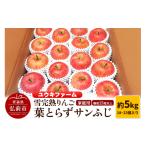 ふるさと納税 りんご 青森県 弘前市 26年1月〜発送 りんご 数量限定 雪完熟 自然 葉とらず 糖度13度以上 家庭用 サンふじ 約 5kg 18〜23個