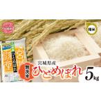 ふるさと納税 米 ひと