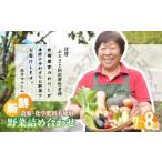 セット 詰合せ 旬の野菜詰め合わせ7種~8種