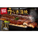 ふるさと納税 うなぎ 鹿児島県 鹿屋市 2740 うなぎ問屋の備長炭手焼 うなぎ蒲焼 超特大3尾(750g) KN029-001-06