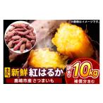 野菜類 サツマイモ さつまいも 訳あり 紅はるか 約10kg