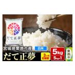 ふるさと納税 米 宮城