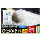ふるさと納税 米 ひと
