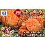 ふるさと納税 カニ 毛ガニ 北海道 網走市 網走産 毛ガニ 440g×2尾 ふるさと納税 人気 おすすめ ランキング 毛蟹 毛ガニ 毛がに 蟹 かに カニ まるごと ボイル…
