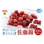 ふるさと納税 果物類 さくらんぼ 山形県 東根市 フローズンさくらんぼ「佐藤錦」200g入×2P 有限会社佐藤錦提供 山形県 東根市 hi004-hi029-032 フローズンさ…
