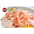 牛肉 ホルモン 小腸 1.6kg