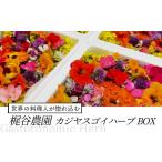 野菜類 世界の料理人が惚れ込む 広島 梶谷農園のハーブ