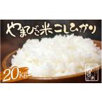 米 コシヒカリ 令和8年産 新米 10kg