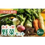 セット 詰合せ あまっ娘 野菜セット ライト