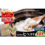米 ヒノヒカリ 白米 全6回定期便 ひのひかり 10kg