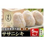 ふるさと納税 玄米 宮