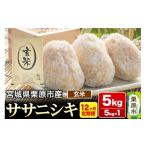 ふるさと納税 玄米 宮