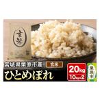 ふるさと納税 玄米 宮