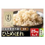 ふるさと納税 玄米 宮