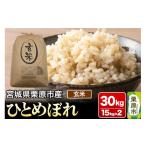 ふるさと納税 玄米 宮