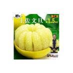 ふるさと納税 みかん・柑橘類 高知県 土佐市 果樹園直送 土佐文旦 4L 2個入り 1.5kg 特選品贈答用 果物 柑橘 フルーツ ぶんたん ブンタン 分担 高…