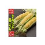とうもろこし 2027年 生 で食べられるトウモロコシ