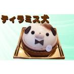 ケーキ カステラ ティラミス犬 珈琲 エスプレッソ