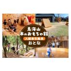 入場券 優待券 鳥海山 木のおもちゃ館 年間パスポート