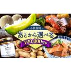 カタログ あとから ふるさと 10万円分 DYZ009