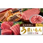 ふるさと納税 マグロ 和歌山県 上富田町 定期便 全3回 紀州和歌山うまいもんセットA(生まぐろ・うなぎ蒲焼・熊野牛) UT125
