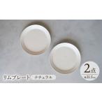 食器 グラス セット 波佐見焼 リムプレート