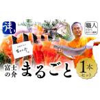 魚貝類 サーモン 富士の介 丸ごと1本セット