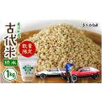 雑穀 令和7年産 緑米 古代米 1kg