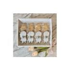 �ӂ邳�Ɣ[�� �ĉَq�E�`���R���[�g �N�b�L�[ ���m�� ����s ���[�ځ[�T�u��(12������) 1497996