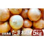 ふるさと納税 野菜類 玉ねぎ 兵庫県 - 淡路島産たまねぎ 5kg入り箱 / 玉葱 玉ねぎ タマネギ 5キロ オニオン バーベキュー サラダ 焼き肉 スープ 国産 野菜