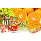 ふるさと納税 果物類 みかん 和歌山県 湯浅町 AU6105n_01_自信作 有田みかん 7.5kg L〜Sサイズ混合 訳あり 家庭用 2026年1月発送