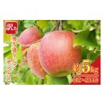 ショッピングふるさと納税 訳あり 傷 ふるさと納税 りんご 茨城県 大子町  訳あり 樹上完熟の奥久慈りんご「サンふじ」約5kg（12〜23玉）不揃い 規格外 傷あり 色むら 家庭用｜斉藤りんご園第2直売…