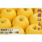 ふるさと納税 りんご 岩手県 花巻市 花巻産　純情はるか2.5kg 自家用 （8個〜10個） 2041