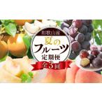 果物の詰合せ 定期便全3回 7月 8月 和歌山の夏のフルーツを…