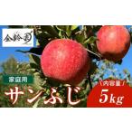 ふるさと納税 りんご 岩手県 北上市 ＼11月下旬より発送開始予定／ 北上市産 りんご サンフジ 家庭用 5キロ (約13〜20玉) 林檎 リンゴ サンふじ 5kg 国産 東北…