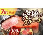 牛肉 ステーキ 7日発送 ヒレステーキ 長崎和牛