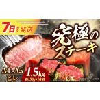 牛肉 ステーキ 7日発送 長崎和牛 ヒレ A4-A5 約150g×10枚
