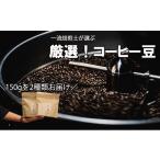 コーヒー コーヒー豆 Specialty