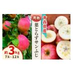 りんご 完熟 葉とらずサンふじ 3kg