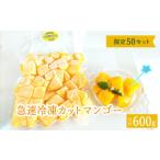 ふるさと納税 マンゴー 沖縄県 今帰仁村 急速冷凍カットマンゴー 金蜜300g×2(限定50セット) 沖縄県今帰仁村産
