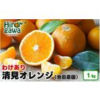 みかん 柑橘類 オレンジ 清見 1kg+250g