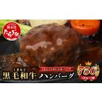 ふるさと納税 牛肉 ハンバーグ 熊本県 多良木町 年内お届け くまもと黒毛和牛 DREAMバーグ 150g×5パック 計750g 牛肉 100% 国産 ハンバーグ 熊本 ブランド…