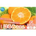 濃厚 はるみ みかん 5kg