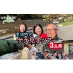 体験チケット 内 サケ見学ツアー 3人用
